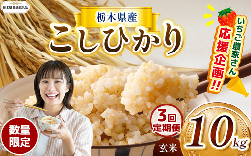 [定期3回][先行予約][令和8年度産] 栃木県産コシヒカリ 10kg | [栃木県共通返礼品]