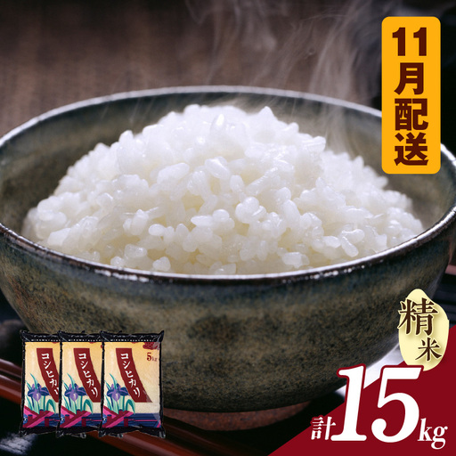 [令和8年産 先行予約]コシヒカリ(精米)15kg(11月発送)(3573)