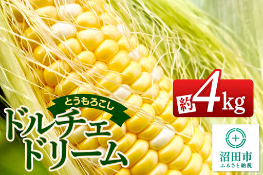 《7月下旬～9月上旬発送》とうもろこし ドルチェドリーム 約4kg（8～12本） 山口いちご園
