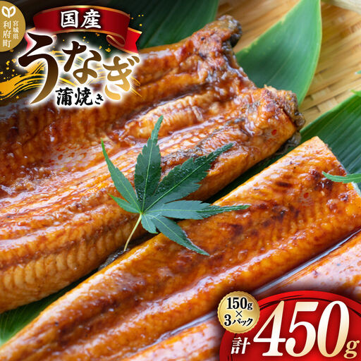 国産うなぎ蒲焼 450g(1パック150g×3) 高知県産
