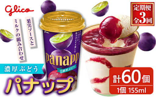 パナップ  計60個 3ヶ月定期便 グリコ スイーツ 【アイス】【ho1715】