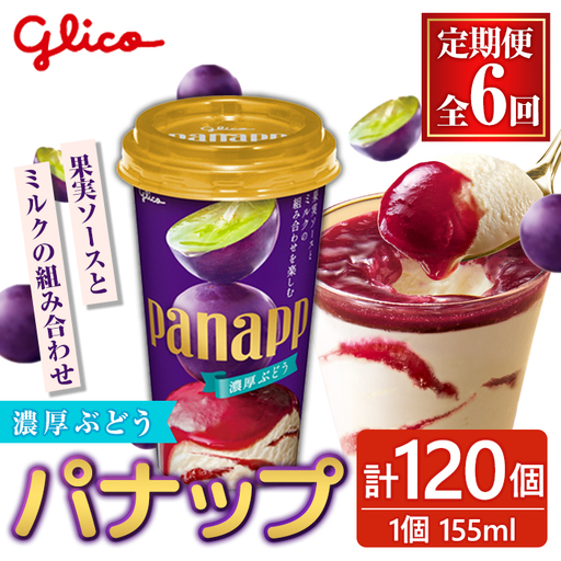 アイス パナップ 計120個 6ヶ月定期便 グリコ 【アイス】【ho1716】