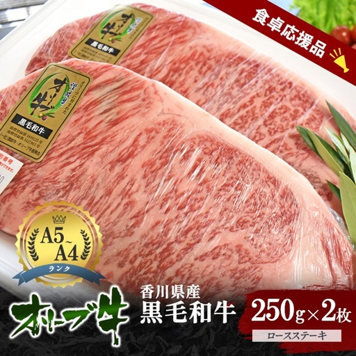 「期間限定」香川県産黒毛和牛オリーブ牛「ロースステーキ 250g×2枚」牛肉 肉 お肉 和牛 香川 香川県 東かがわ市