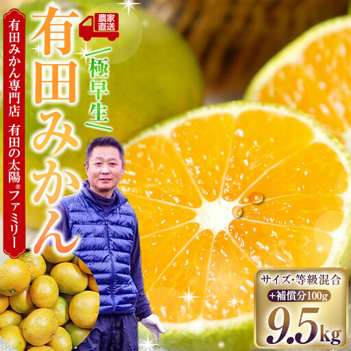 有田みかん専門店 有田の太陽®ファミリー 極早生 有田みかん 9.5kg＋補償分100g 山採れ・サイズ・等級 混合