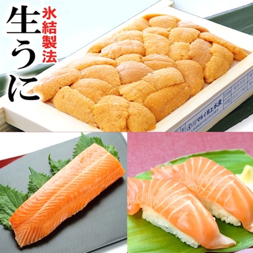 冷凍エゾバフンウニ約60〜70g×1折(赤系)・お刺身サーモン300g〜500g(1〜3本)[11月中旬以降発送]