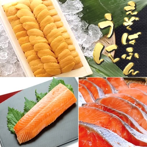 エゾバフンウニ約100g×1折・お刺身サーモン300g～500g(1～3本)、塩銀鮭切り身×10切(個包装)[11月下旬以降発送] D-71069