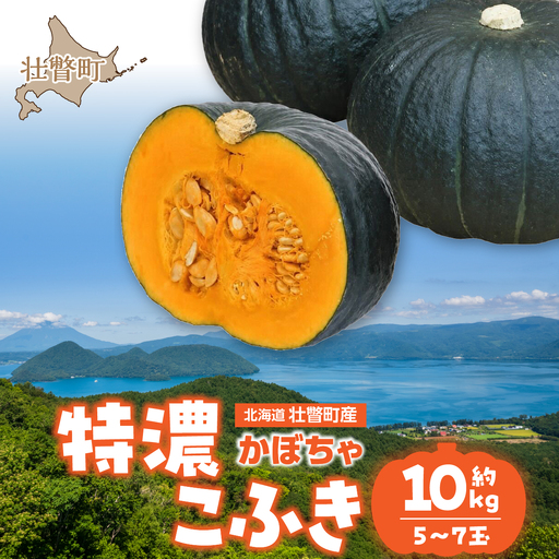 〈10月上旬よりお届け〉北海道壮瞥町産 かぼちゃ 特濃こふき5～7玉 約10㎏ SBTL019
