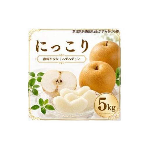 梨 果物 にっこり なし 5kg 1箱 フルーツ くだもの 秋 旬 果汁 甘み 茨城県産 期間限定 数量限定 【茨城県共通返礼品/かすみがうら市】（107-04）