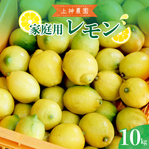 【先行受付】【2026年11月～発送】上神農園 家庭用 広島産 レモン 約10kg 