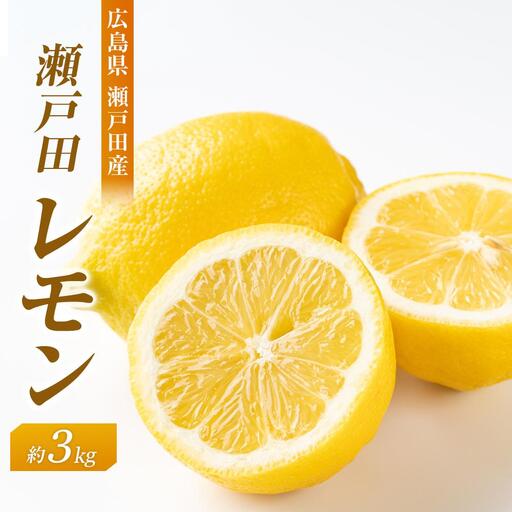 [先行予約]瀬戸田レモン3kg [2026年11月上旬より発送開始]