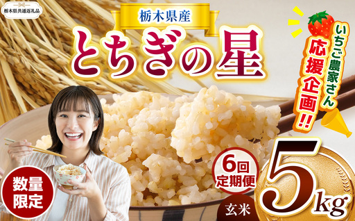 【定期６回】先行予約【令和8年度産】栃木県産とちぎの星 5kg | 【栃木県共通返礼品】 