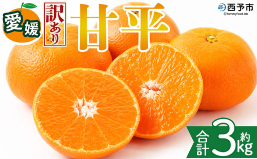 ＜【訳あり】愛媛県産 甘平 約3kg＞『2027年2月上旬～3月下旬迄に順次発送予定』 わけあり 訳アリ 甘い かんぺい みかん 蜜柑 訳あり 果物 くだもの フルーツ ミカン シャキシャキ 果汁 国産 株式会社三代目みかん職人 愛媛県 西予市【常温】OSM0019