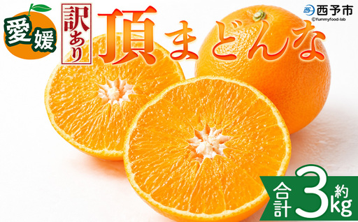 ＜【訳あり】愛媛県産 頂まどんな 約3kg＞『2026年11月下旬～1月上旬迄順次発送予定』 わけあり 訳アリ 甘い とろける 食感 ゼリー食感 高級柑橘 みかん 蜜柑 果物 くだもの フルーツ ミカン 果汁 国産 特産品 株式会社三代目みかん職人 愛媛 西予市【常温】OSM0020