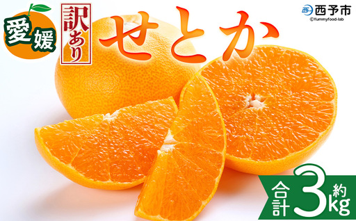 ＜【訳あり】愛媛県産 せとか 約3kg＞『2027年2月中旬～5月下旬迄に順次発送予定』わけあり 訳アリ 甘い みかんの大トロ みかん 蜜柑 果物 くだもの フルーツ ミカン 高級柑橘 とろける 食感 果汁 国産 株式会社三代目みかん職人 愛媛県 西予市【冷蔵】OSM0021