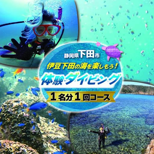 ダイビング 体験チケット 1回コース ダイビング 伊豆 下田