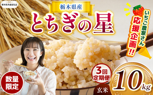 【定期３回】先行予約【令和8年度産】栃木県産とちぎの星 10kg | 【栃木県共通返礼品】 
