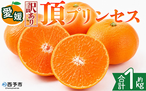 [[訳あり]愛媛県産 頂プリンセス 約1kg]『2027年2月下旬〜4月上旬迄に順次発送予定』 わけあり 訳アリ 高級柑橘 こうきゅう みかん 蜜柑 果物 くだもの フルーツ ミカン ぷるぷる とろける 食感 果汁 国産 株式会社三代目みかん職人 愛媛県 西予市[冷蔵]OSM0006