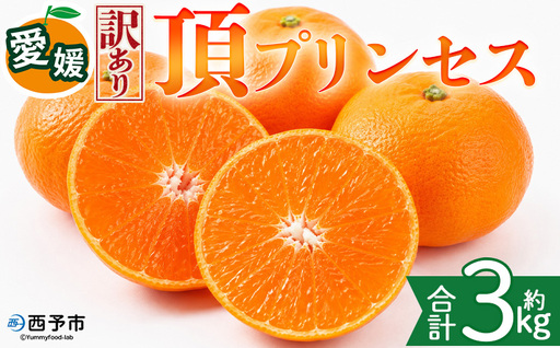 ＜【訳あり】愛媛県産 頂プリンセス 約3kg＞『2027年2月下旬～4月上旬迄に順次発送予定』 わけあり 訳アリ 高級柑橘 こうきゅう みかん 蜜柑 果物 くだもの フルーツ ミカン ぷるぷる とろける 食感 果汁 国産 株式会社三代目みかん職人 愛媛県 西予市【冷蔵】OSM0023