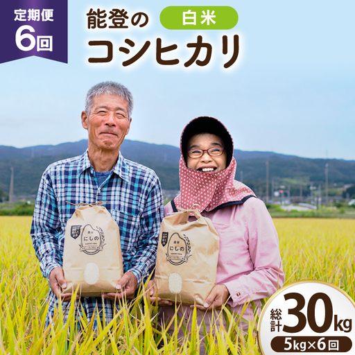 [期間限定発送] 米 定期便 コシヒカリ 白米 5kg 6回 総計 30kg
