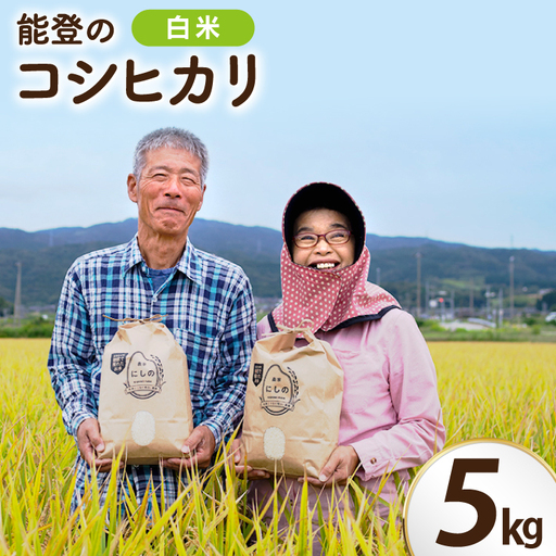 【期間限定発送】 米 令和8年 コシヒカリ 5kg 白米