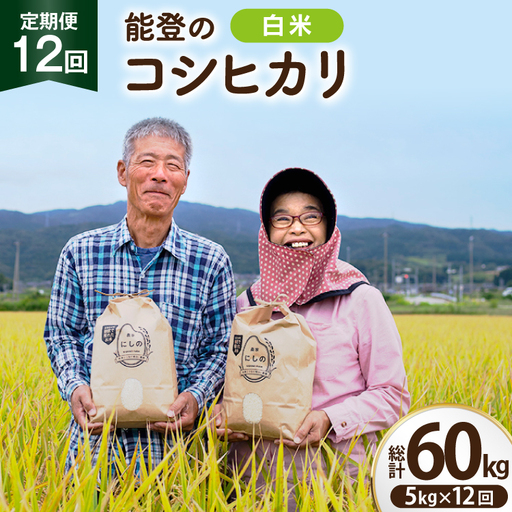 【期間限定発送】 米 定期便 コシヒカリ 白米 5kg 12回 総計 60kg
