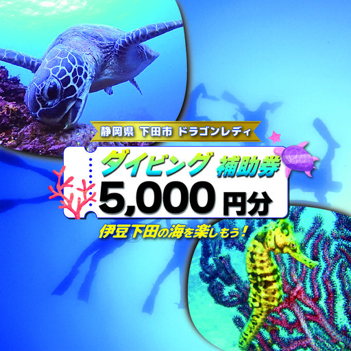 ダイビング 体験 補助券 5000円 優待券 リンスポーツ 海 伊豆 下田 白浜海岸 アクティビティ ドラゴンレディ