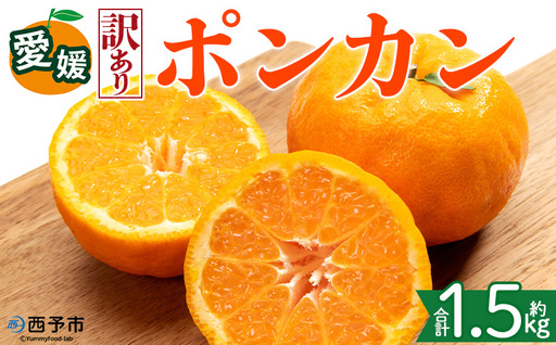 [[訳あり]愛媛県産 ポンカン 約1.5kg]『2027年1月上旬〜3月上旬迄順次発送予定』 わけあり 訳アリ 果肉 ぽんかん ジューシー みかん 蜜柑 果物 くだもの フルーツ ミカン 果汁 国産 特産品 株式会社三代目みかん職人 愛媛 西予市[常温]OSM0011