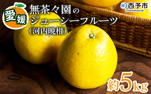 [無茶々園のジューシーフルーツ(河内晩柑)約5kg] フルーツ 果物 かわちばんかん みかん ミカン 蜜柑 柑橘 期間限定 季節限定 食べて応援 特産品 愛媛県 西予市 [常温]『2027年4月上旬〜6月上旬迄に順次出荷予定』AMC0064