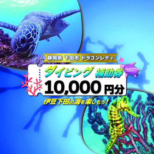 ダイビング 体験 補助券 10000円 優待券 マリンスポーツ 伊豆 下田