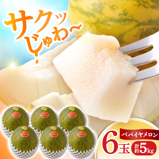 パパイヤメロン 6玉 ( 約 5kg ) / メロン めろん パパイヤメロン 果物 フルーツ / 南島原市/ 小田メロン園[SGX001]