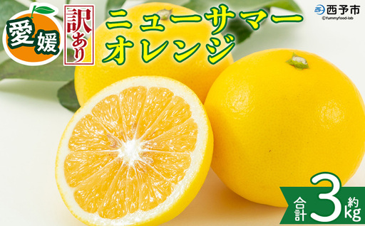 ＜【訳あり】愛媛県産 ニューサマーオレンジ 約3kg＞『2027年4月上旬～5月中旬迄順次発送予定』 わけあり 訳アリ ジューシー 日向夏 みかん 蜜柑 果物 くだもの フルーツ ミカン 果汁 国産 特産品 株式会社三代目みかん職人 愛媛 西予市【冷蔵】OSM0031