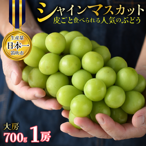 山梨県笛吹市産 シャインマスカット 1房 約700g 大房 皮ごと食べられる人気のぶどう 262-002-26y