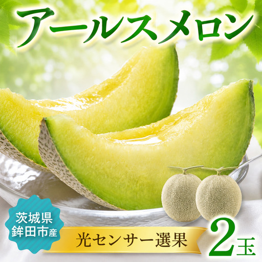 【8月より順次発送】 アールスメロン 2玉 緑肉メロン