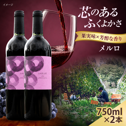 メルロ 2本 750ml×2 赤ワイン [AICS101]