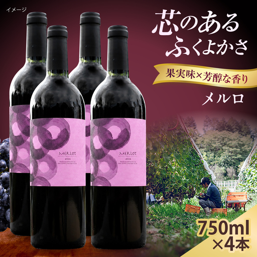 メルロ 4本 750ml×4 赤ワイン [AICS103]