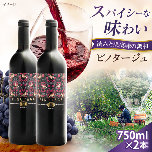 ピノタージュ 2本 750ml×2 赤ワイン [AICS106]