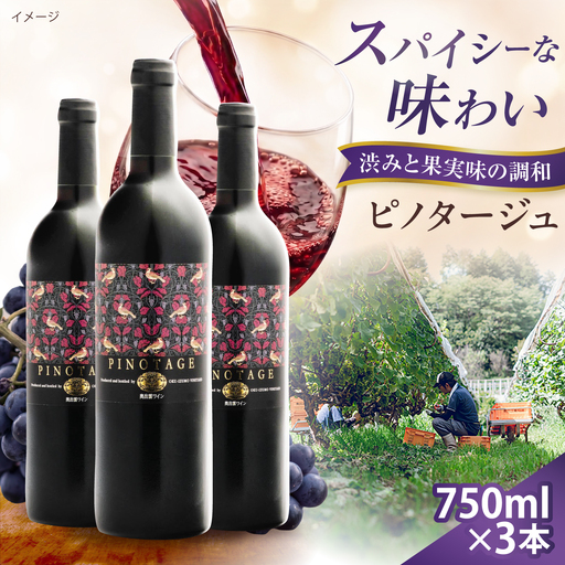 ピノタージュ 3本 750ml×3 赤ワイン [AICS107]