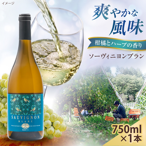ソーヴィニヨンブラン 1本 750ml 白ワイン 国産 島根県雲南市/有限会社奥出雲葡萄園[AICS109]