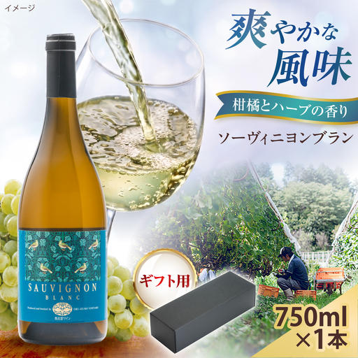 【贈答用】ソーヴィニヨンブラン 1本 750ml 白ワイン 国産 島根県雲南市/有限会社奥出雲葡萄園[AICS110]