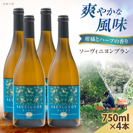 ソーヴィニヨンブラン 4本 750ml×4 白ワイン 国産 島根県雲南市/有限会社奥出雲葡萄園[AICS113]
