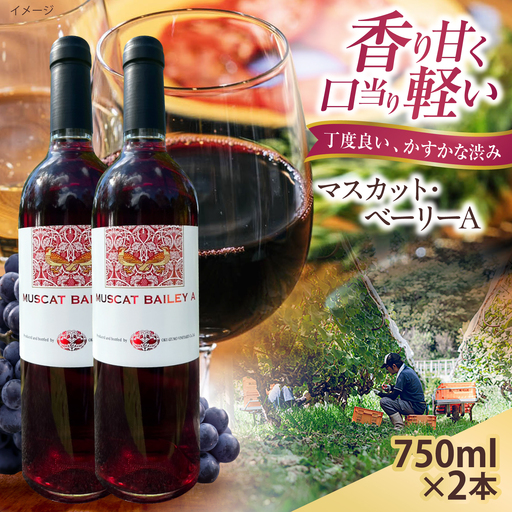 マスカット・ベーリーA 2本 750ml×2 赤ワイン 国産 島根県雲南市/有限会社奥出雲葡萄園[AICS126]