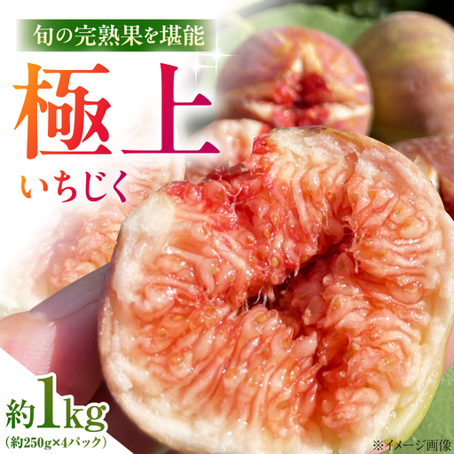 [先行予約][10個限定][2026年8月中旬以降順次発送]イチジク約1kg(約250g×4パック) いちじく [AIET002]