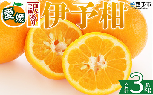 ＜【訳あり】愛媛県産 伊予柑 約3kg＞『2027年1月上旬～3月下旬迄順次発送予定』わけあり 訳アリ 果肉 いよかん ジューシー みかん 蜜柑 果物 くだもの フルーツ ミカン 果汁 国産 特産品 株式会社三代目みかん職人 愛媛 西予市【常温】OSM0027