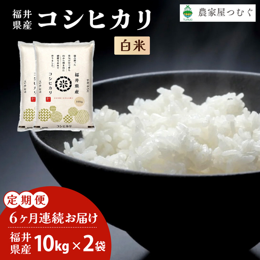 【定期便6回】コシヒカリ 20kg（10kg×2）令和7年産 [095-t06-a203]