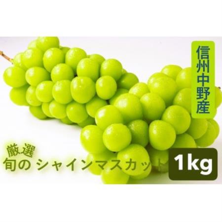 【厳選 旬のシャインマスカット1kg】フルーツ大国信州中野産【配送不可地域：離島】【1673181】