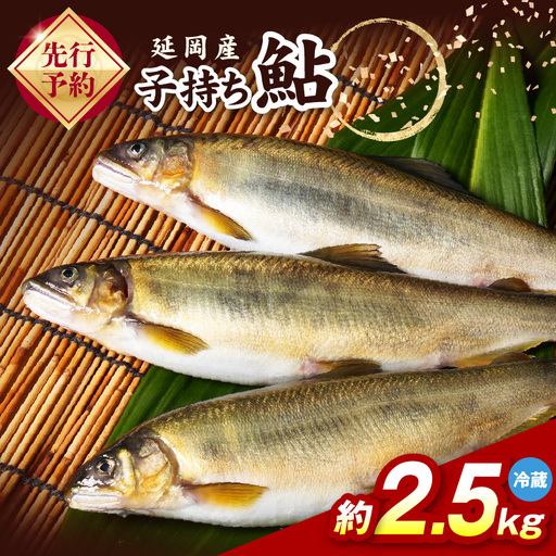 [先行予約]2026年10月下旬より発送開始[冷蔵]子持ち鮎約2.5kg N070-YC425-1