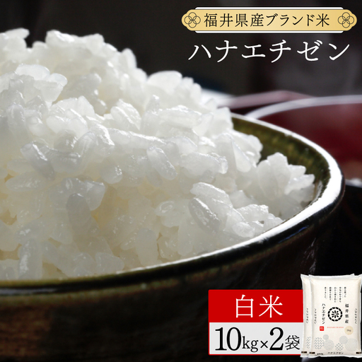 福井県産 ハナエチゼン 精米 20kg(10kg×2)[令和8年産][095-a626]