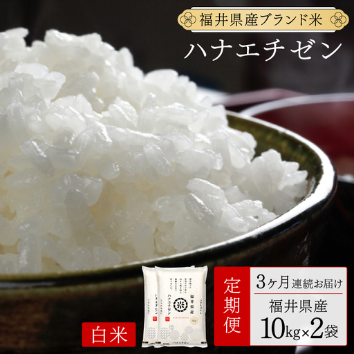 [定期便3回]福井県産 ハナエチゼン 精米 20kg(10kg×2)[令和8年産][095-t03-a626]