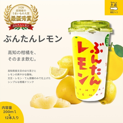 ぶんたんレモン　ストロータイプ　200ml　12本入り（高知アイス）