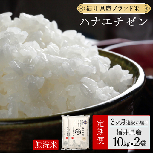 [定期便3回]福井県産 ハナエチゼン 無洗米 20kg(10kg×2)[令和8年産][095-t03-a628]
